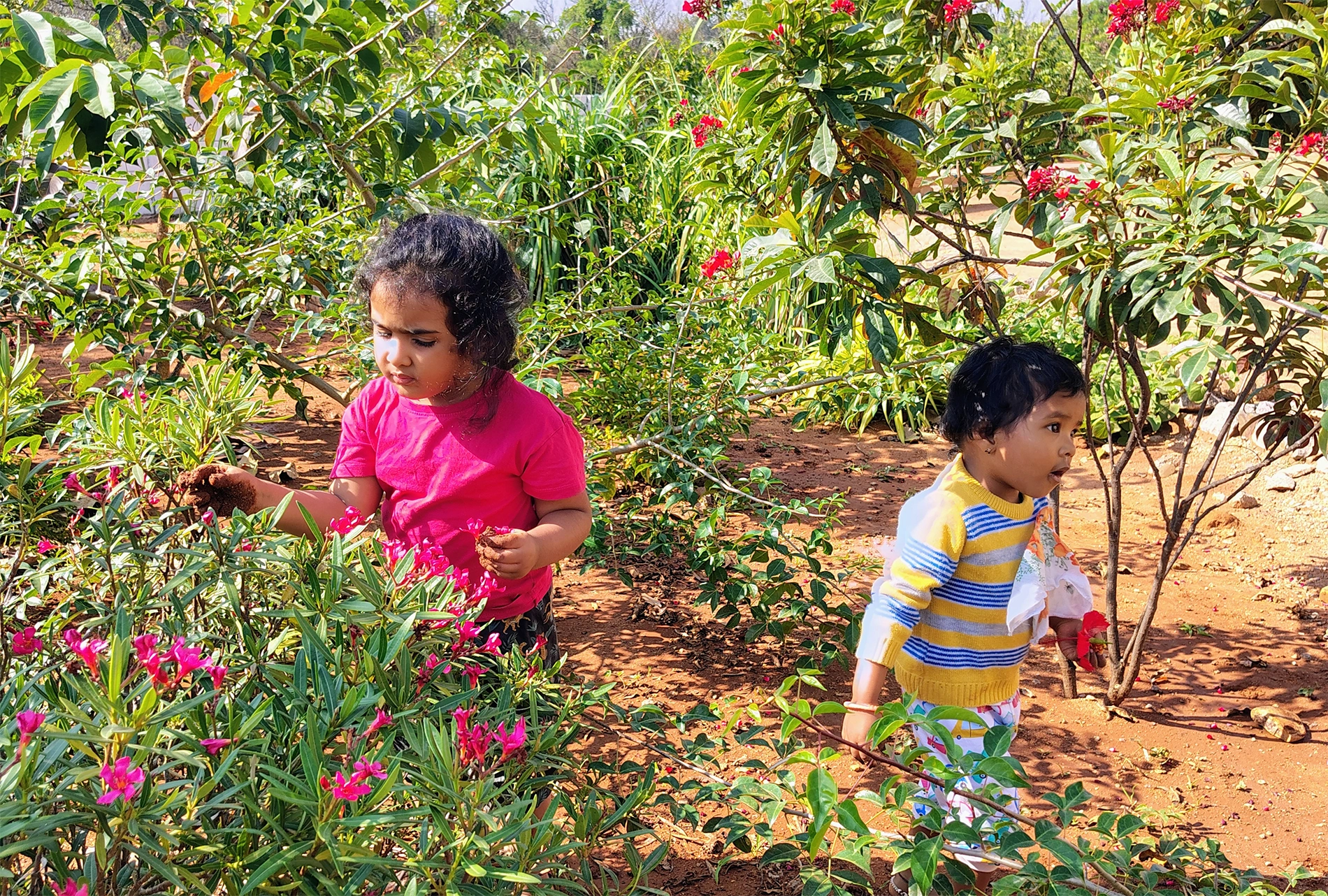 Thraya school garden