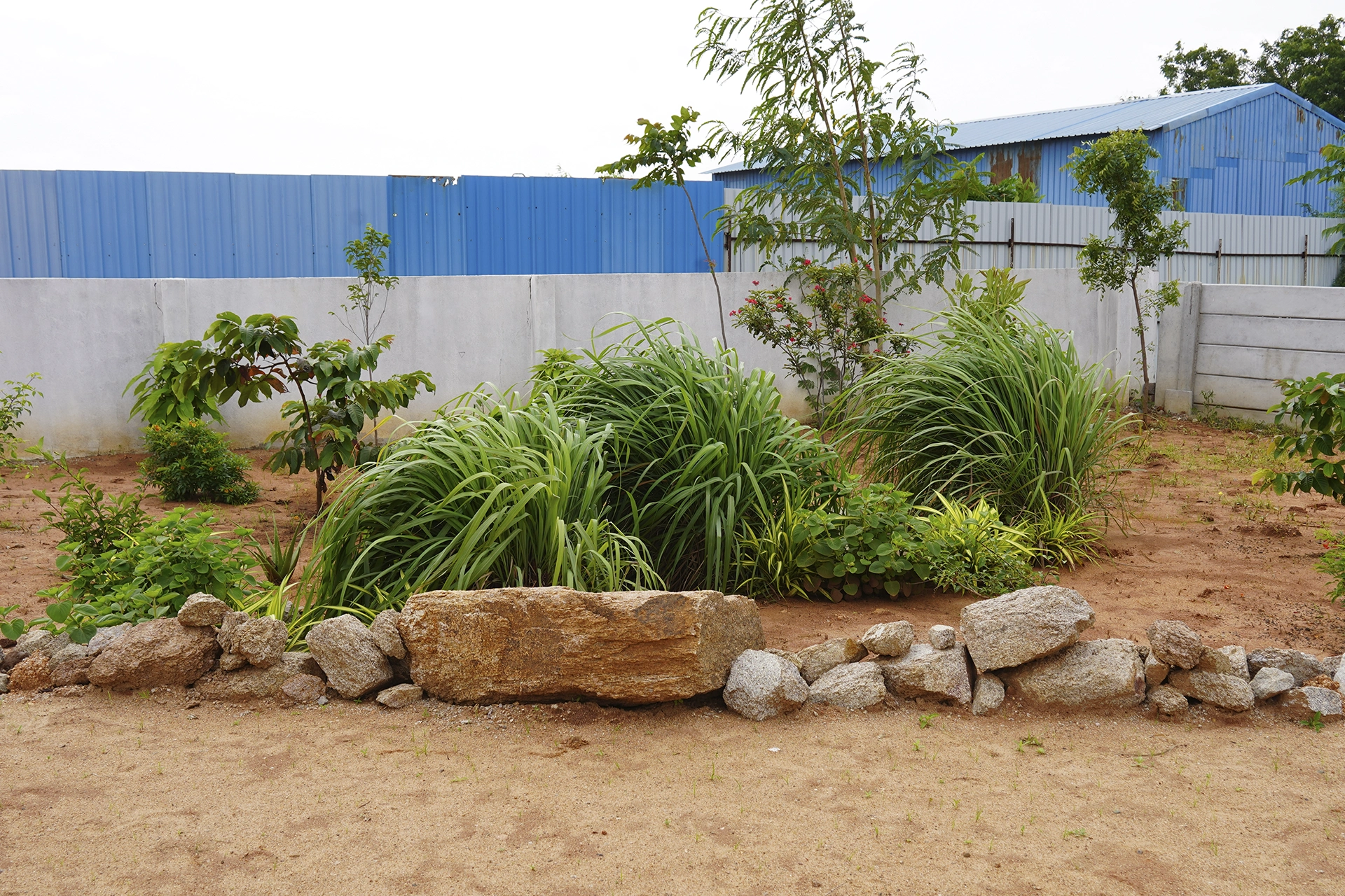 Thraya school outdoor garden