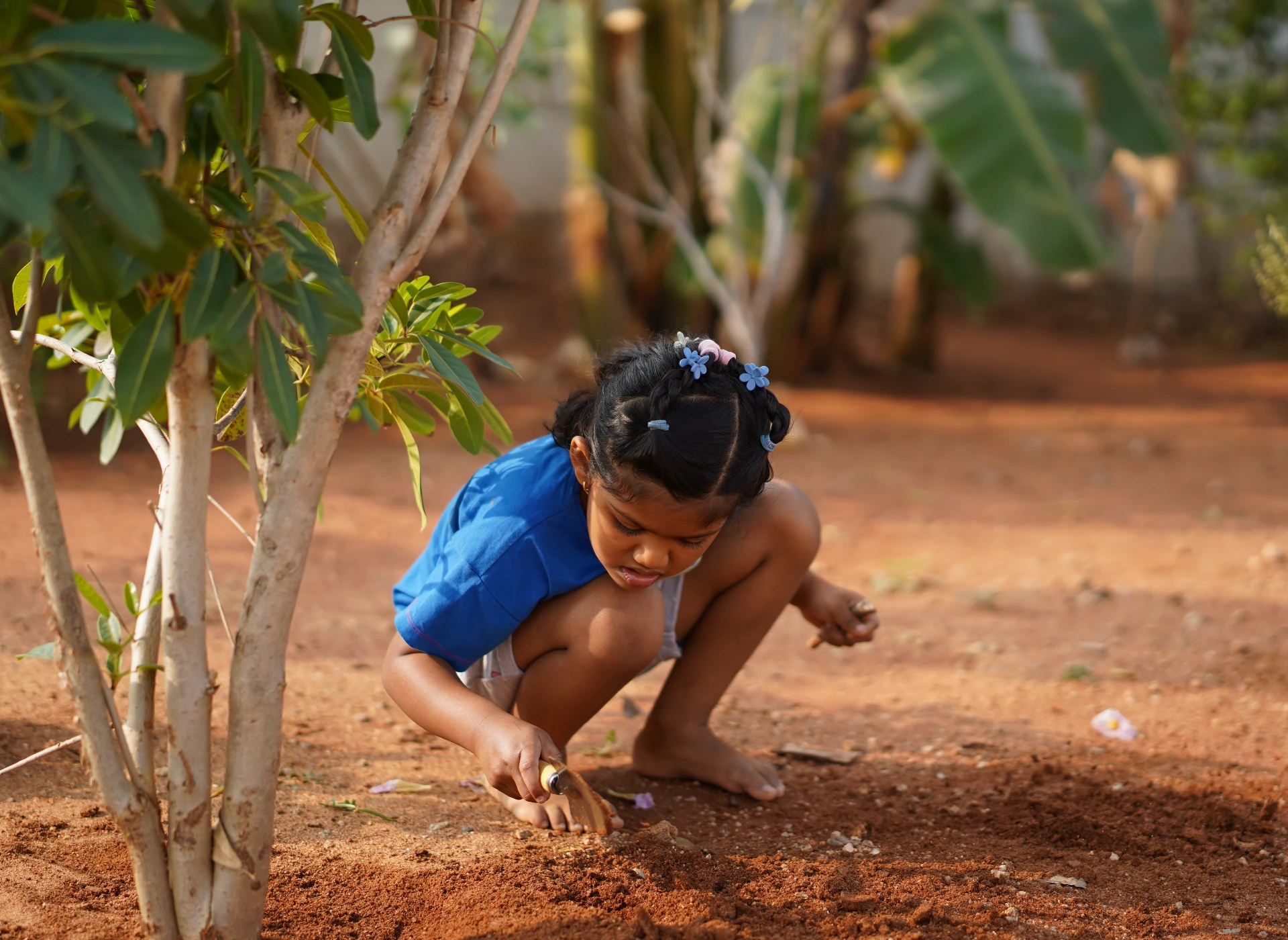 Thraya campus janwada